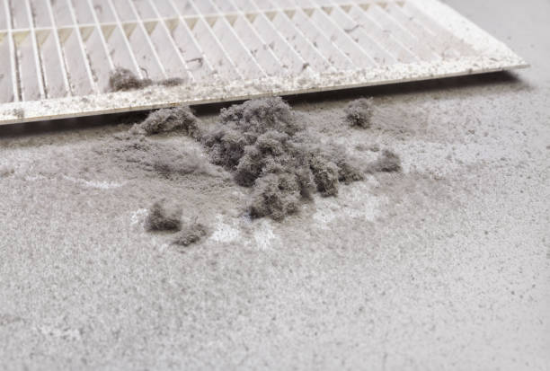 Best Local Air Duct Cleaning Services  in Biggs, CA
