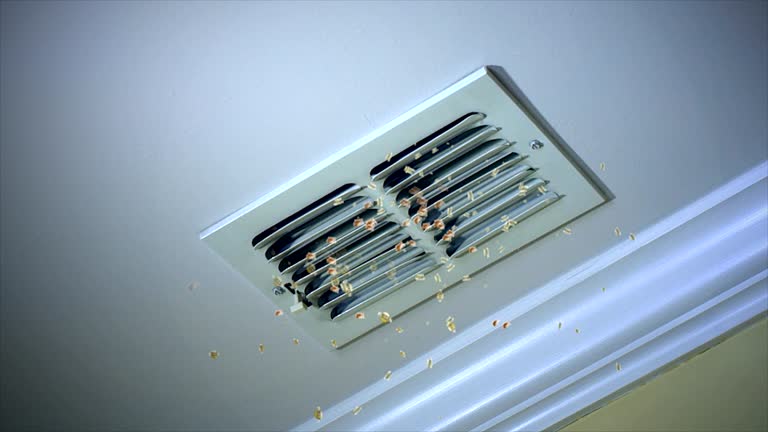 Best Local Air Duct Cleaning Services  in Biggs, CA