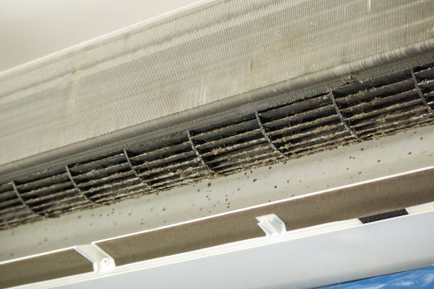 Best Air Duct Cleaning Near Me  in Biggs, CA
